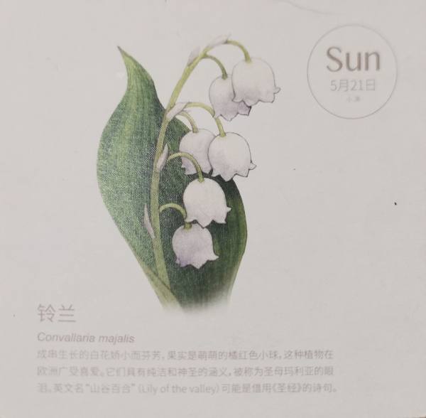 明信片照片