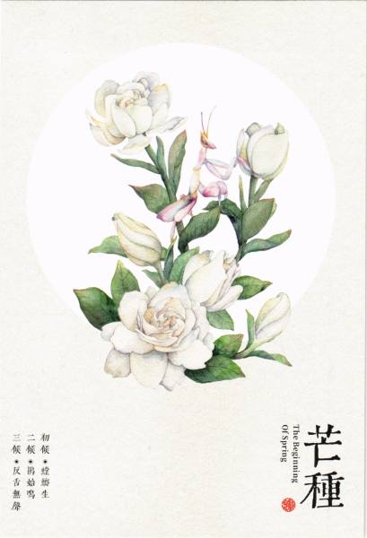 明信片照片
