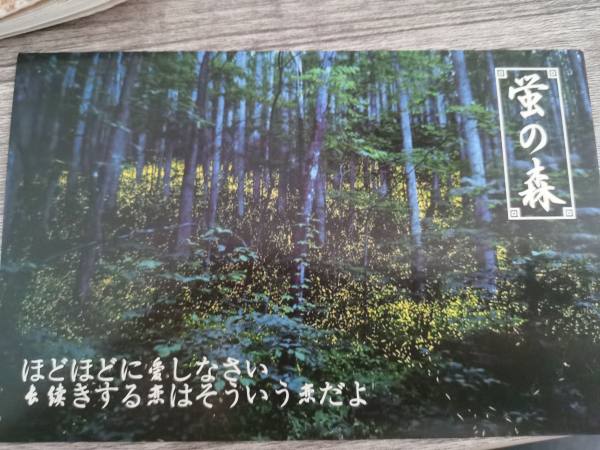 明信片照片