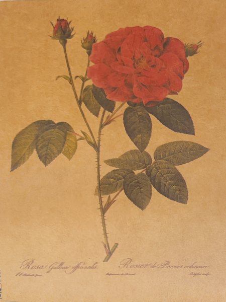 明信片照片
