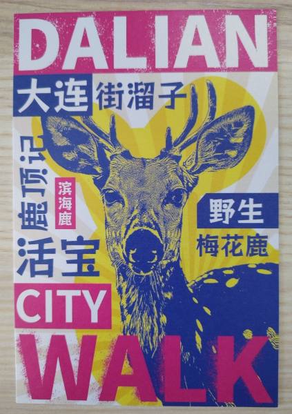 明信片照片