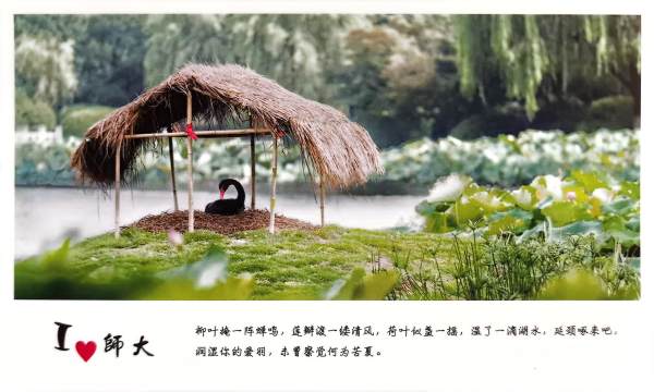 明信片照片