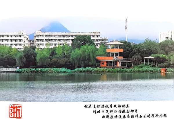 明信片照片