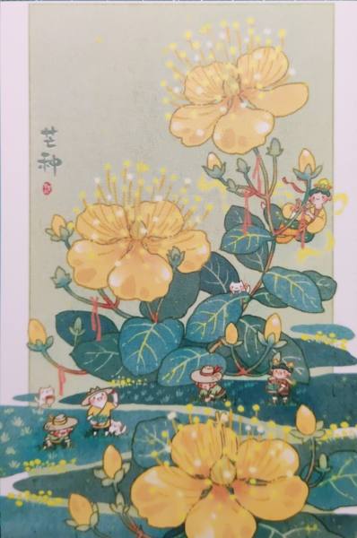明信片照片