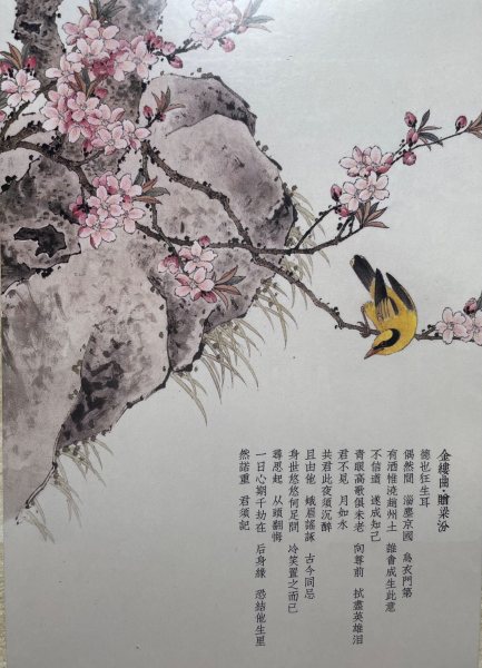 明信片照片