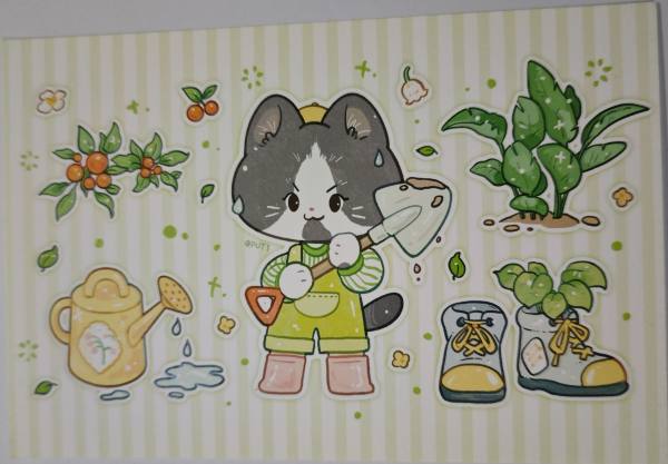 明信片照片