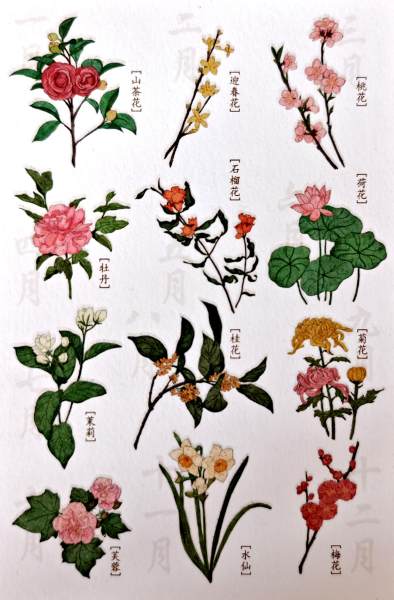 明信片照片