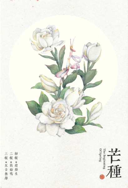 明信片照片