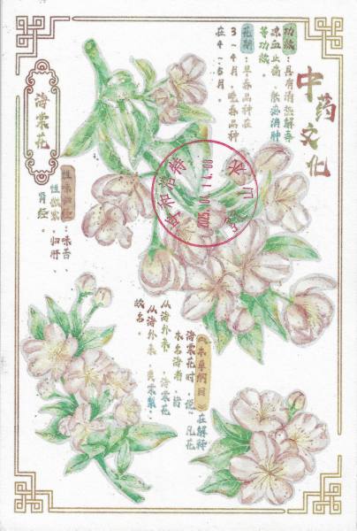 明信片照片