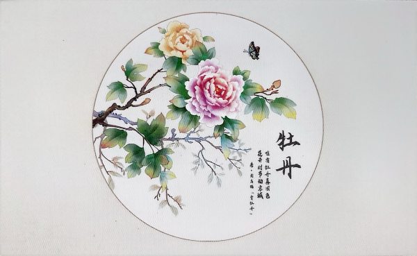 明信片照片