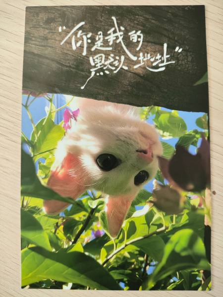 明信片照片