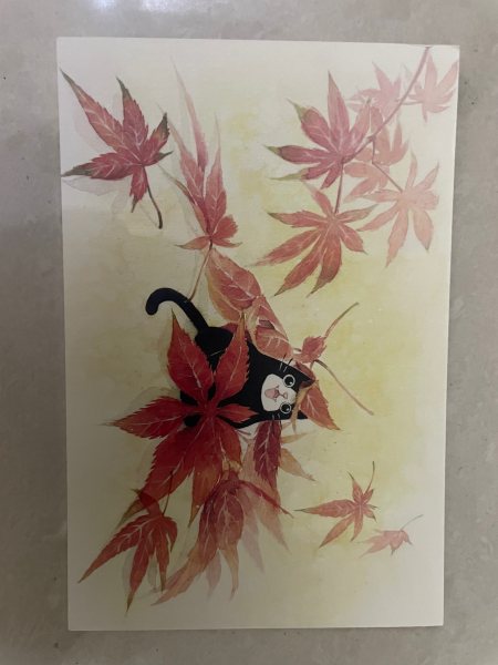 明信片照片