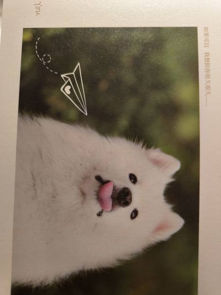 明信片照片