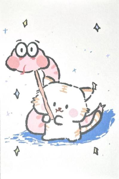 明信片照片