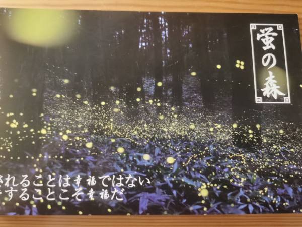 明信片照片