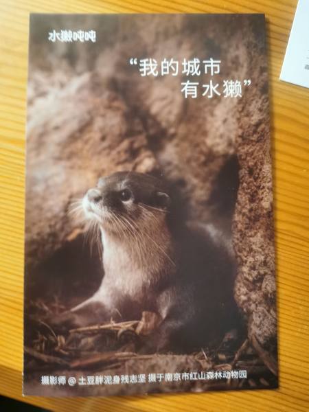 明信片照片