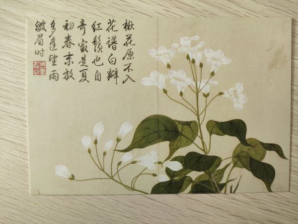 明信片照片