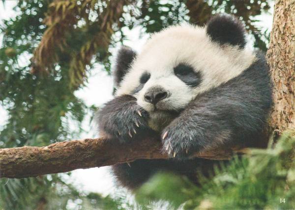 明信片照片