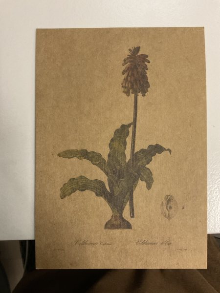 明信片照片