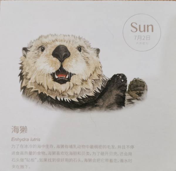 明信片照片
