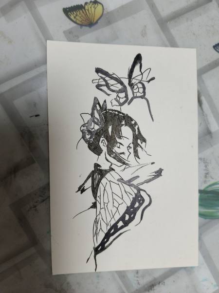 明信片照片