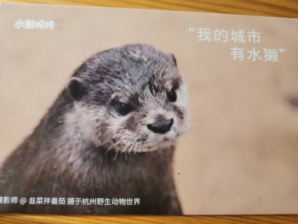 明信片照片