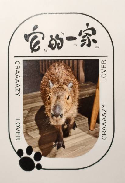 明信片照片