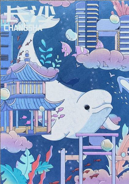 明信片照片