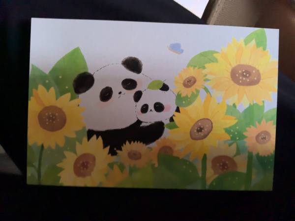 明信片照片