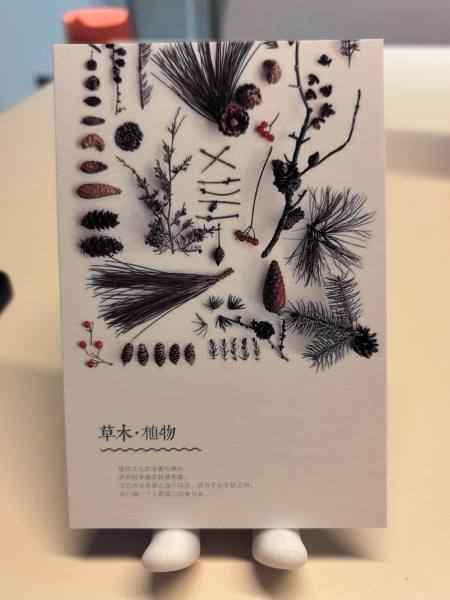明信片照片