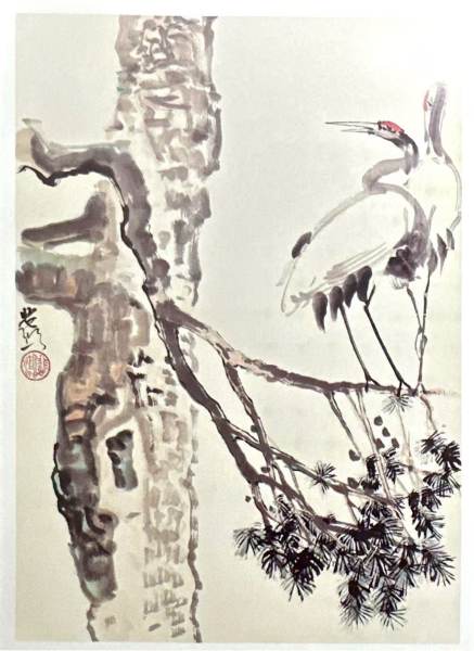 明信片照片