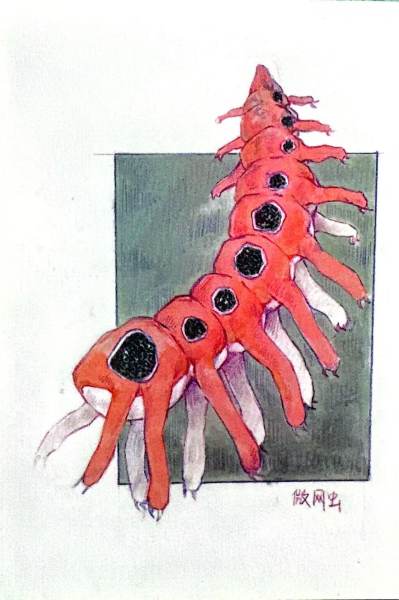 明信片照片