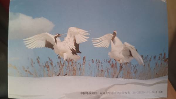 明信片照片