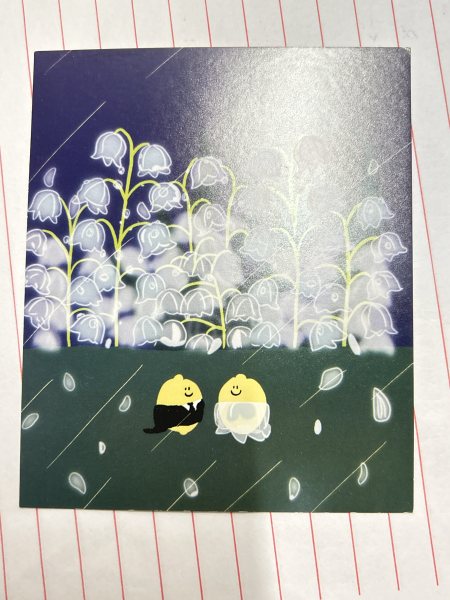 明信片照片