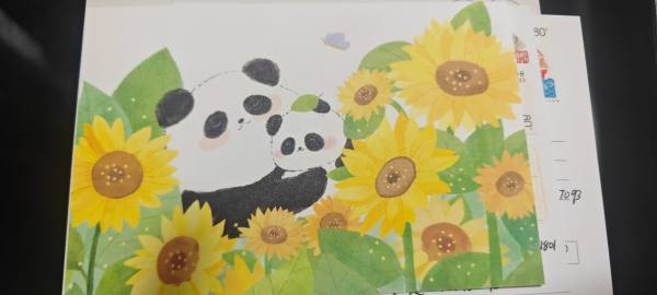 明信片照片