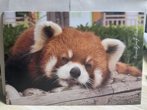 明信片照片