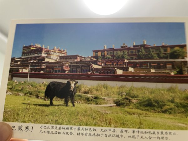 明信片照片
