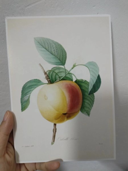 明信片照片