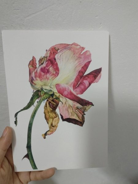 明信片照片