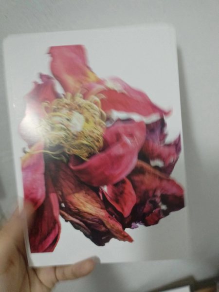 明信片照片