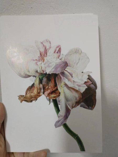 明信片照片
