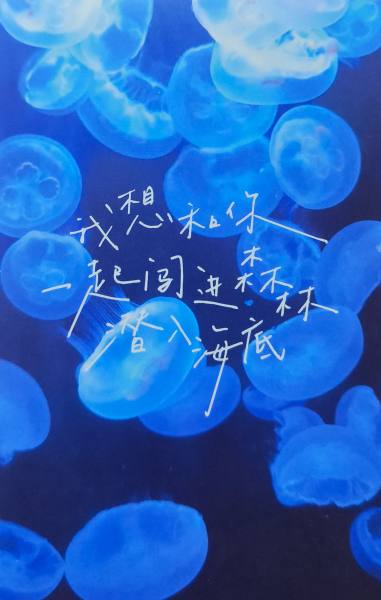 明信片照片