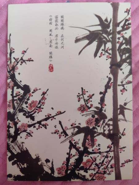 明信片照片