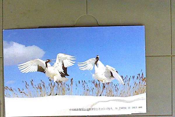 明信片照片