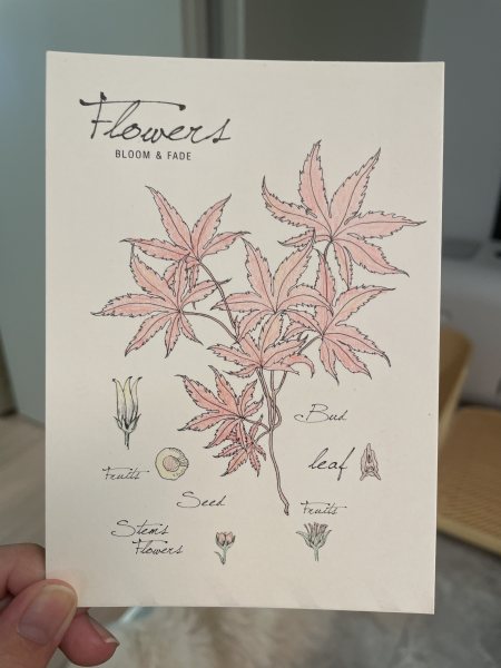 明信片照片