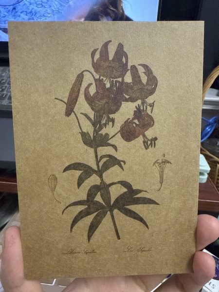 明信片照片