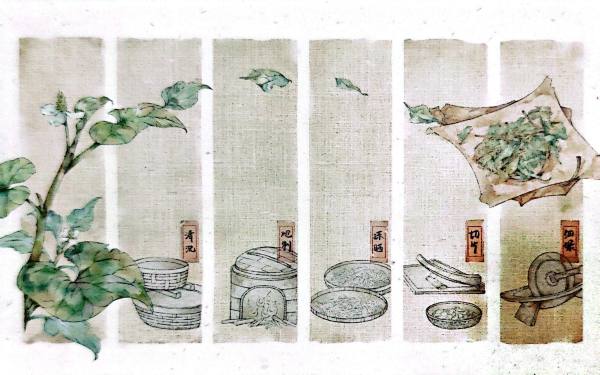 明信片照片