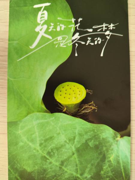 明信片照片