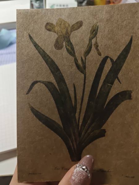 明信片照片