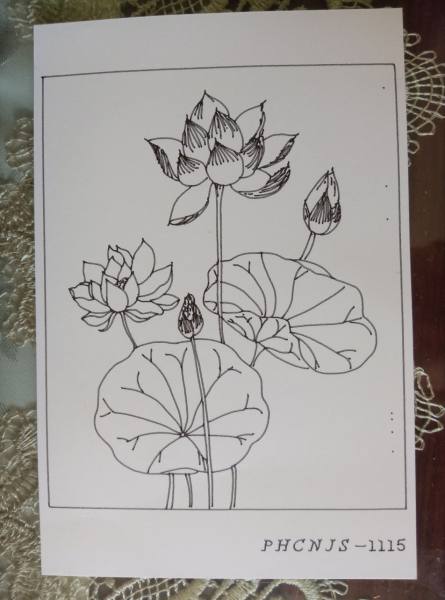 明信片照片